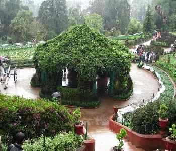 botanical-garden-ooty